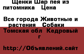 Щенки Шар пея из питомника › Цена ­ 25 000 - Все города Животные и растения » Собаки   . Томская обл.,Кедровый г.